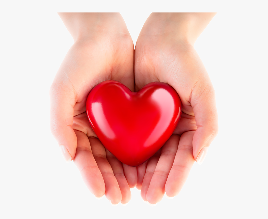 Transparent Hand Heart Png - Heart In Hand Png
