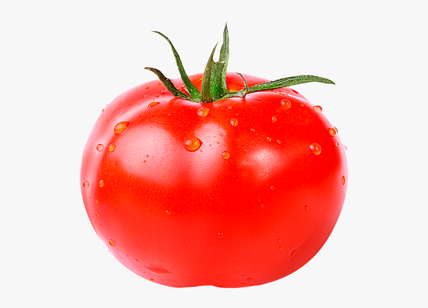 Tomato Fruit Or Vegetable Meme