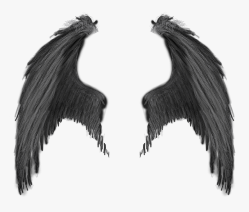 Demon Wings Png