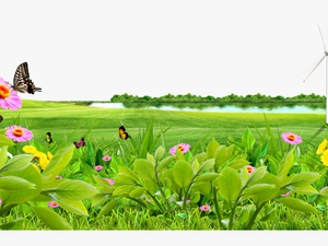 Meadow Lawn Wallpaper Lake - Nature Background Png Hd