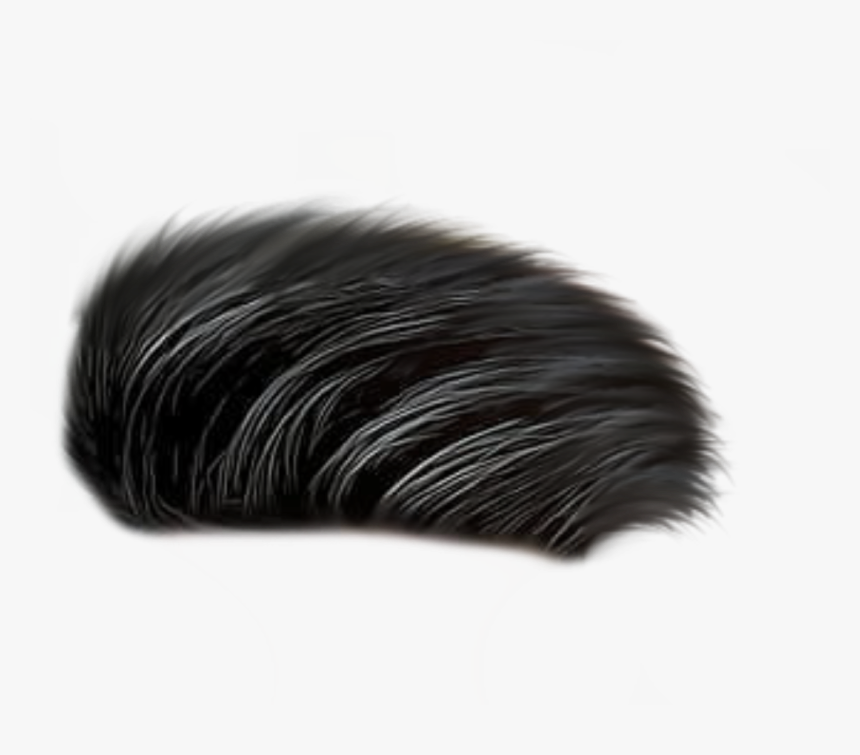 Cb All Hair Png