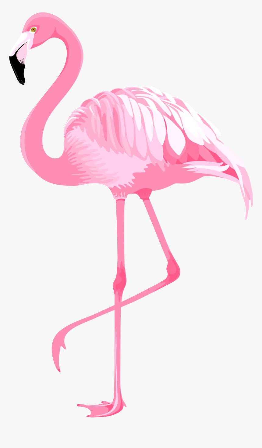 Flamingo Clip Art Pink - Clip Ar