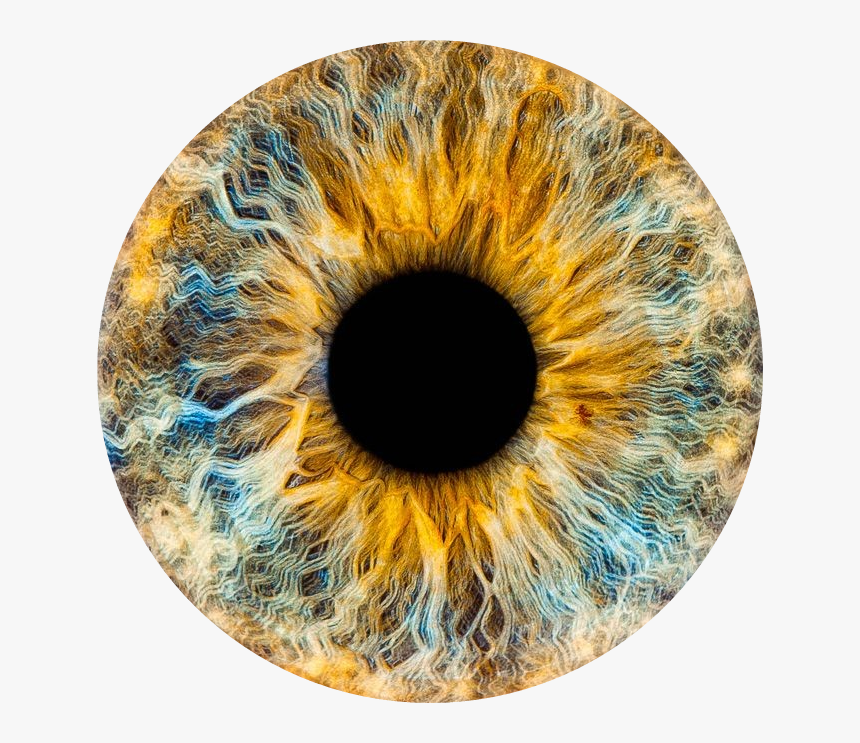 Transparent Brown Eye Png - Eye 