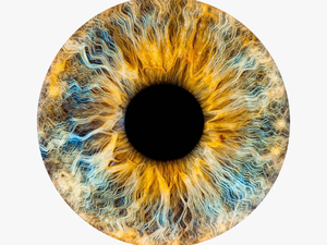 Transparent Brown Eye Png - Eye Lens Png Hd Download