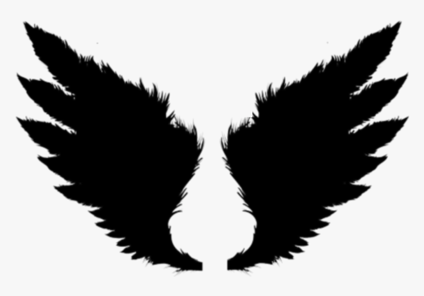 #devil #wings #freetoedit #picsart - Wings Editing