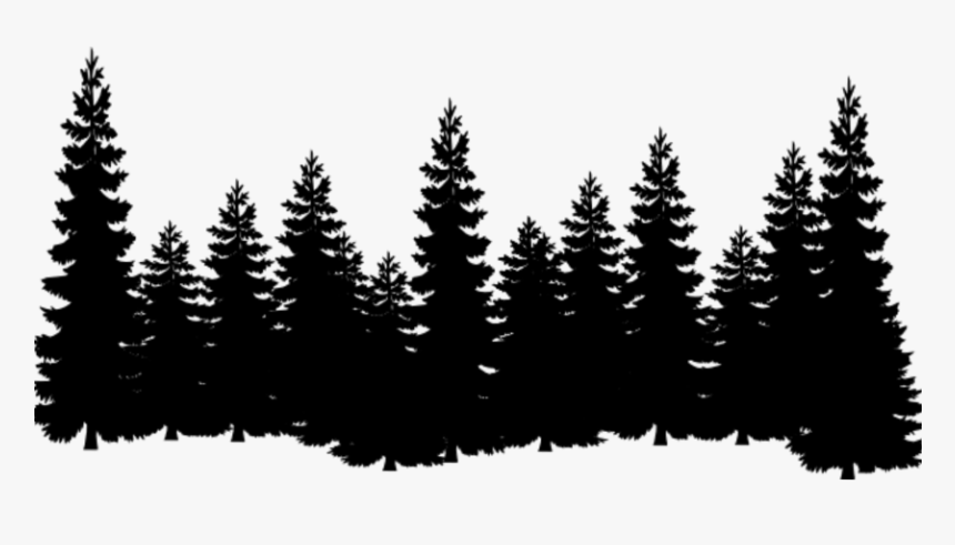 Eastern White Pine Tree Clip Art