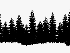 Eastern White Pine Tree Clip Art Cedar - Pine Tree Silhouette Png