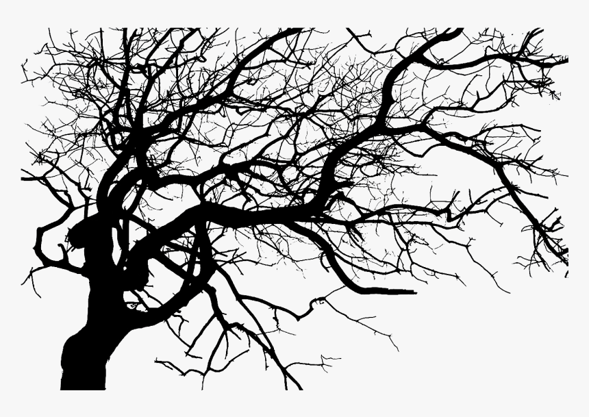 Dark Tree Png - Spooky Tree Silh