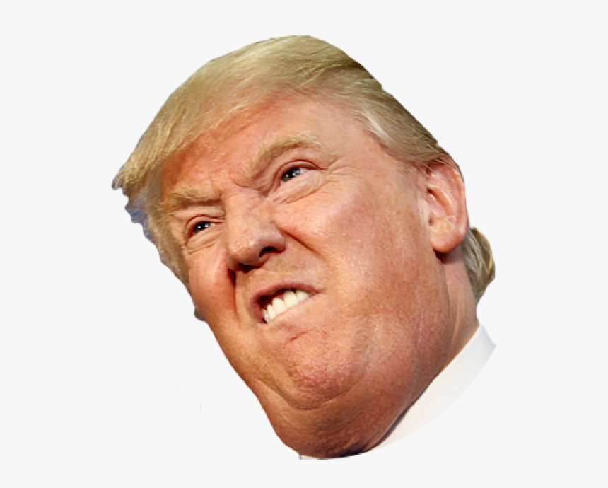 Angry Side Face Trump - Donald Trump Face Transparent