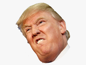 Angry Side Face Trump - Donald Trump Face Transparent