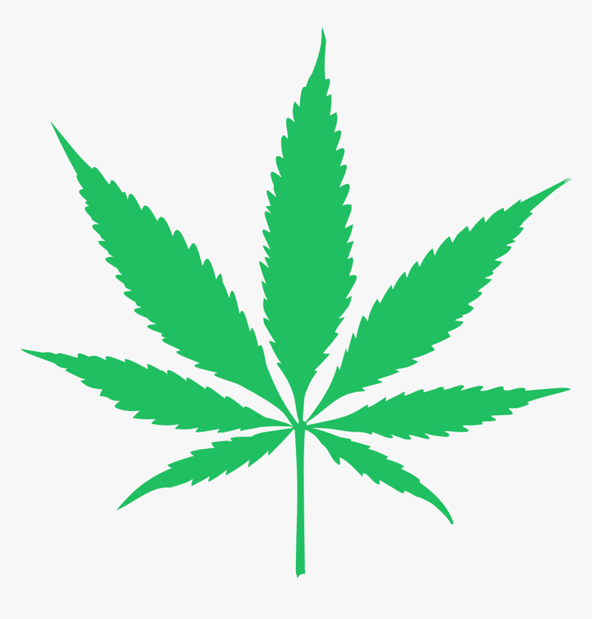Canabis Leaf Vector - Transparent Background Cannabis Leaf Png